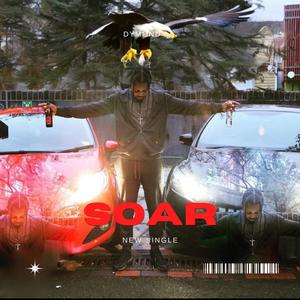 Soar