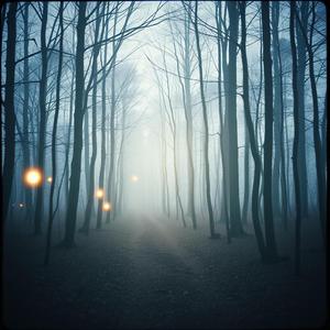 Can't find a reason to fight