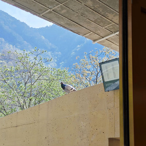 最好的时光.cover anpu