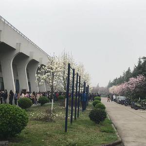 我会在你声旁(DEMO)