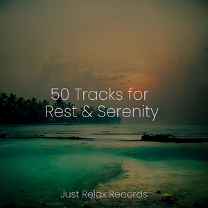 Desert's Dreaming Melody