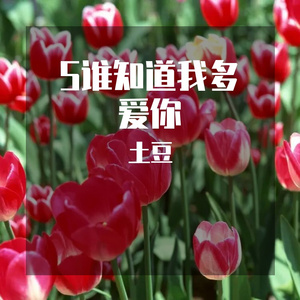 F真丝盘空洞