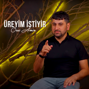 Üreyim İstiyir