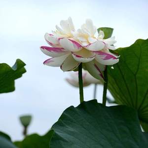 asdfasdfasdfsdf88 (24)