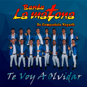 Lo Bonito De Tenerte