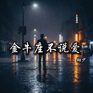 金牛座不说爱