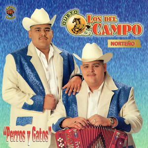Perros y Gatos