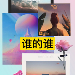 社会摇回顾经典 (Remix)