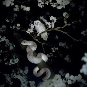 【免费伴奏】“吻痕”Trap Type Beat