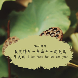 我觉得有一座房子一定是属于我的|Go home for the new year