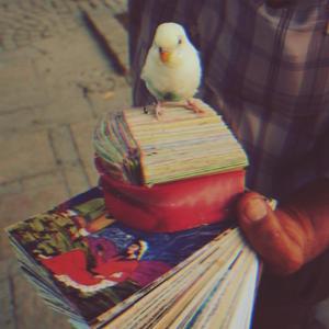 Ghanari (Instrumental Trap, Hip Hop, Uk, Type Beat)