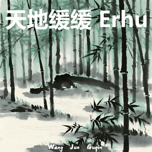 天地缓缓（Erhu）