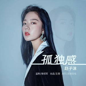 孤独感（DJ车载版）伴奏