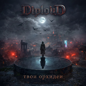 Твои орхидеи