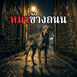 หมาข้างถนน
