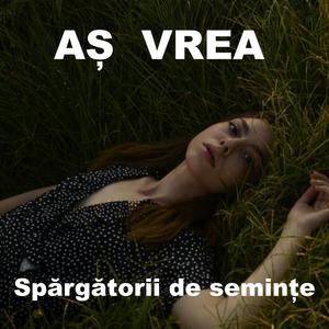 Aș vrea