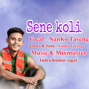 Sene koli