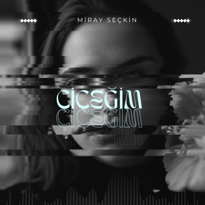 Al Eyvanda Han Kalmadı