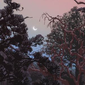 乌兰巴托的夜(肾虚版)