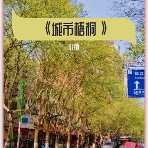 城市梧桐