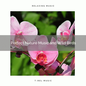 Feel Hard Relax with Virgin Nature Tunes pt. 1