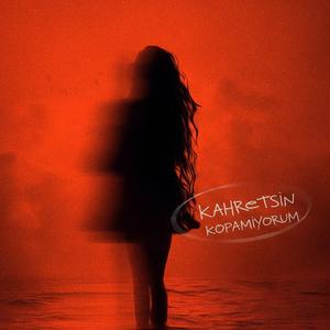 Kahretsin Kopamıyorum