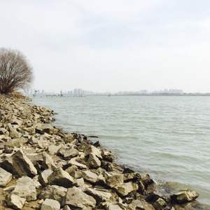 月亮粑粑（原唱：钟志刚）