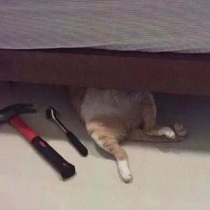 往后余生（Cover 孙茜如/马良）