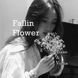 Fallin Flower(钢琴＆小提琴）