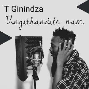 Ungithandile nam