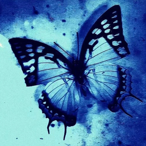 破茧成蝶(Prod.UNIVERSE/牙刷)