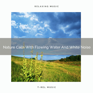 Nature Calls With Windblows And Ocean Waves