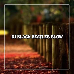 DJ BLACK BEATLES SLOW BASS