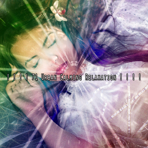 寧靜的嬰兒保護區