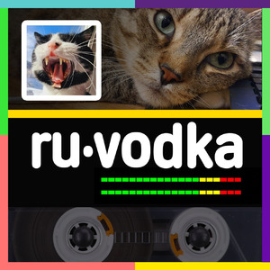 Мистер Скорсезе, от меня вчера ушёл тот, кто мне был и не нужен, кто мешал спокойно жить, кто был глуп и бесполезен, песня про идиота, маменькин сыночек, расставание, разрыв отношений. Скарсези.