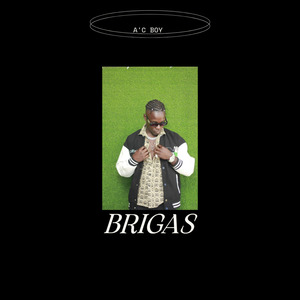 Brigas