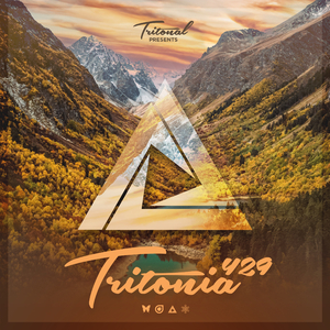 Allium (Tritonia 429)