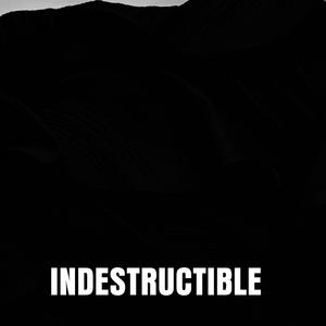 Indestructible (feat. Giani Surinder Singh Ji Samrat)