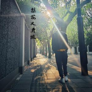 梨花又开放（指弹版）