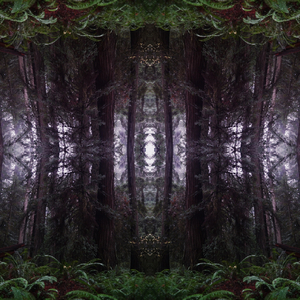 Not Alone (Trailer Version)