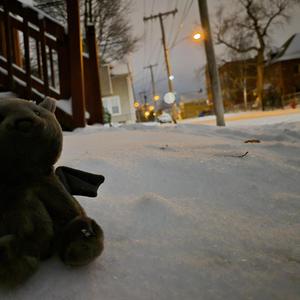 Love or Lust? (feat. Kriplem)