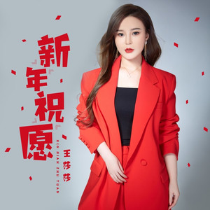新年祝愿 (DJ何鹏版)