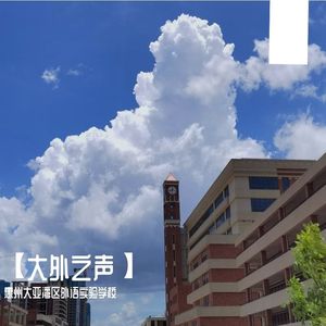 《我爱你中国》大外之声