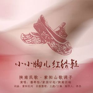 小小脚儿红绣鞋