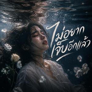 ไม่อยากเจ็บอีกแล้ว