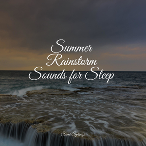 Rain, Vegetation, Wood, Heavy Wind