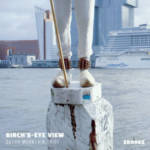 Birch's-Eye View