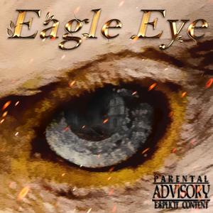 Eagle eye