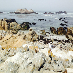 This Way (Instrumental)