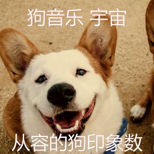 精彩训练犬环境